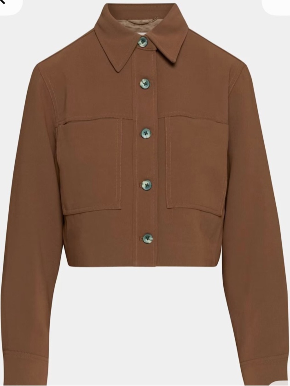 Aritzia Little Cropped Jacket